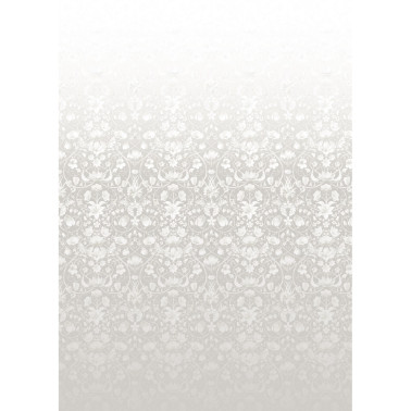 FLORA BOTANICA DRIFT