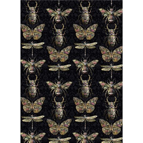 INSECTS NOIR ALL BUGS DARK INSECTS NOIR ALL BUGS DARK