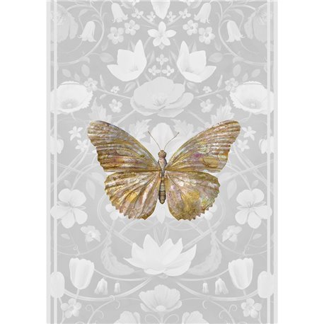 PAPILIO BUBBLEGUM IN GREY PAPILIO BUBBLEGUM IN GREY