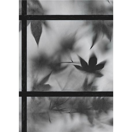 ZEN B W ZEN B W