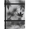 ZEN B W