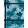 O ZEN BLUE GREEN