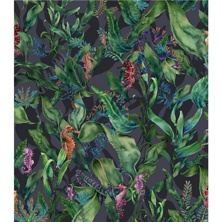 Seahorse Mangrove Noir BMHD002-08B Seahorse Mangrove Noir BMHD002-08B