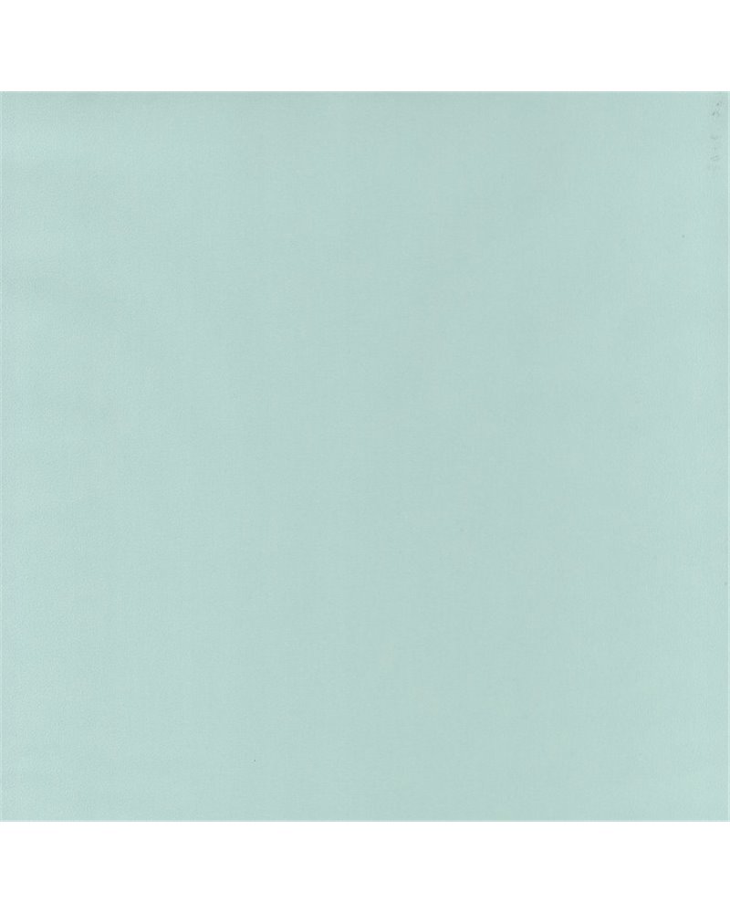 Life Mint 64527007 Life Mint 64527007