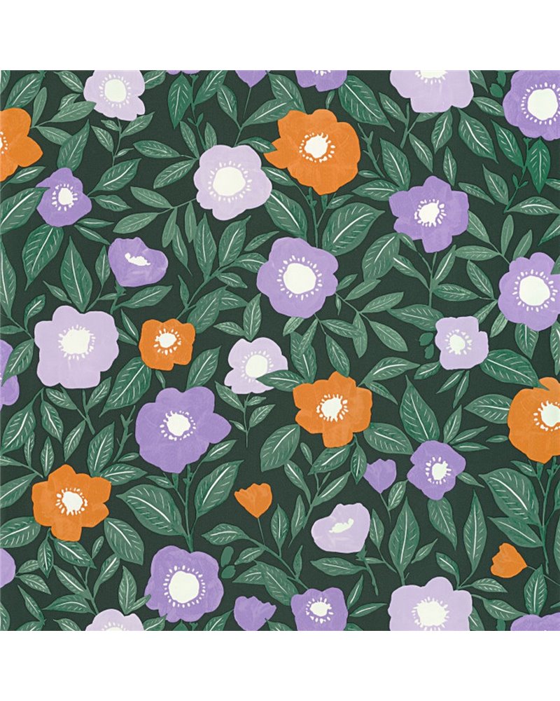 Lucky Violet Orange 104077768 Lucky Violet Orange 104077768