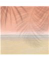 Santa Monica Sunset 88843324