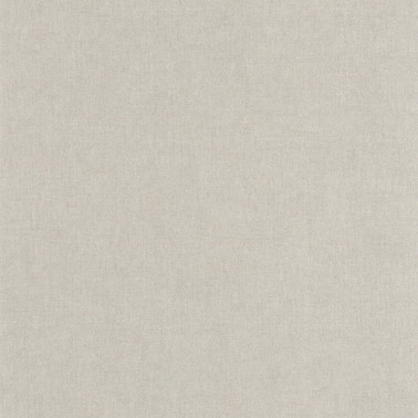 Empreinte Gris Nuage 88709312