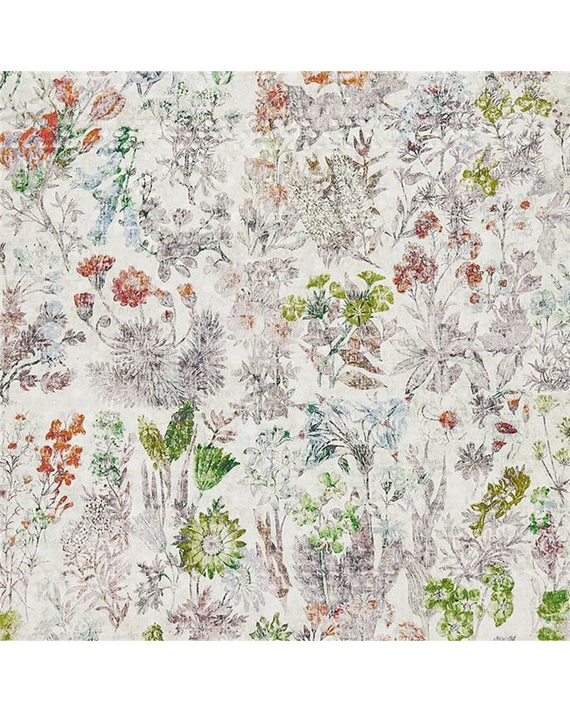 Herbaria F7772-01 Herbaria F7772-01