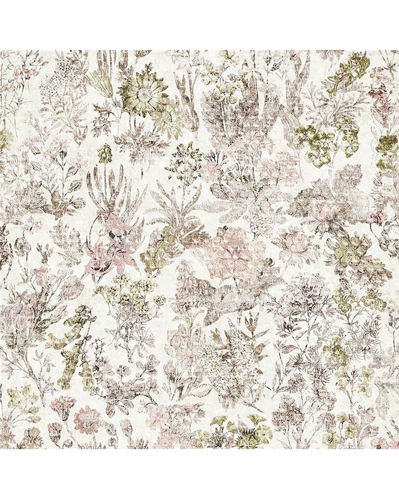 Herbaria F7772-02 Herbaria F7772-02