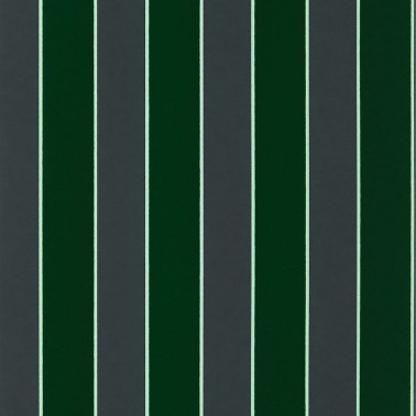 Regency Stripe W7780-01