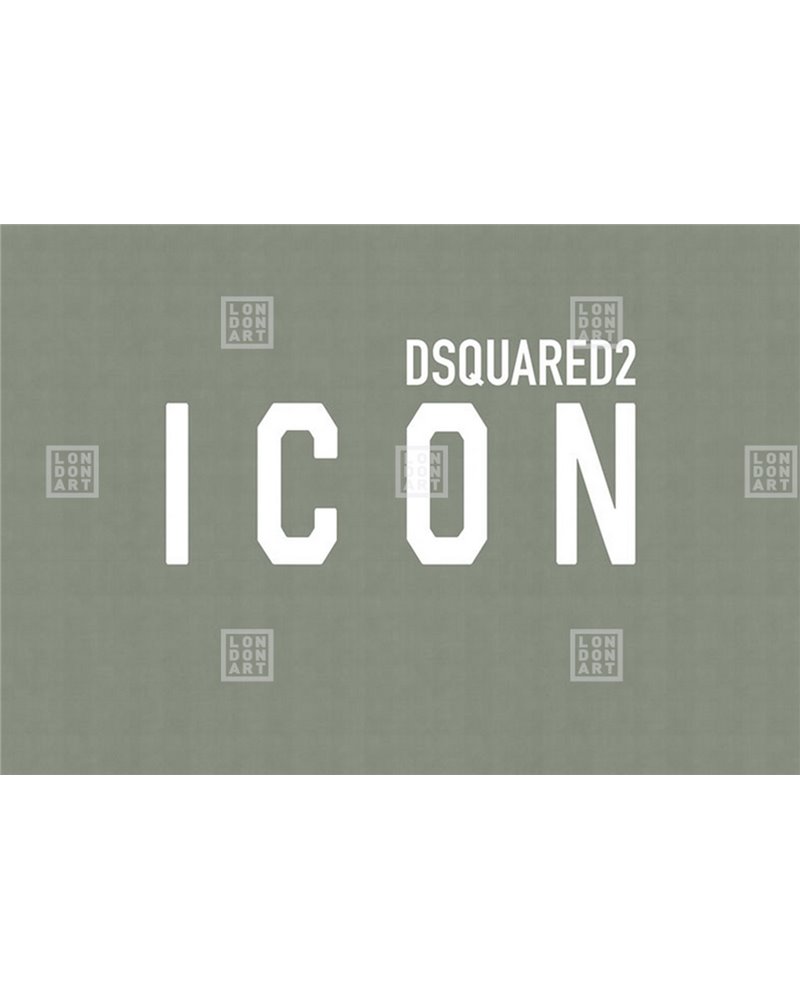 ICON DSQ2W10-02