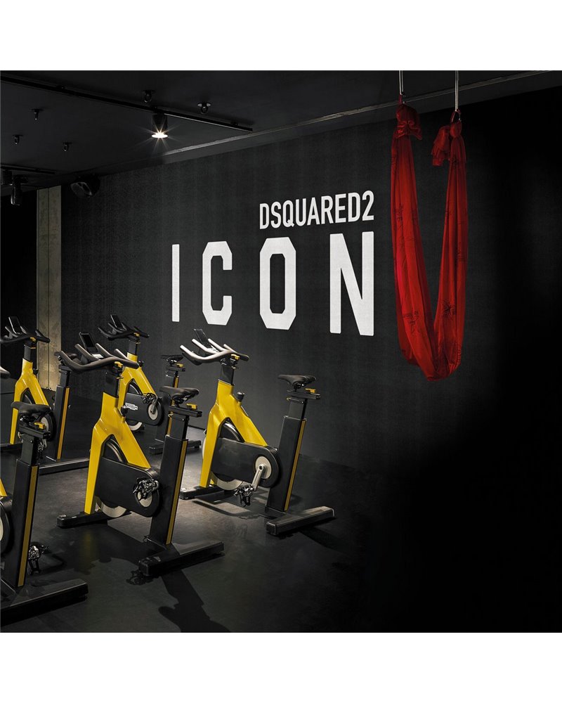 ICON DSQ2W10-03