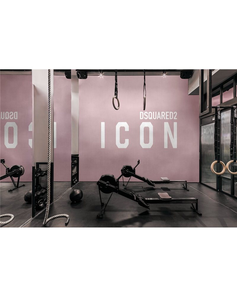 ICON DSQ2W10-04