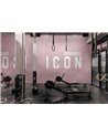 ICON DSQ2W10-04