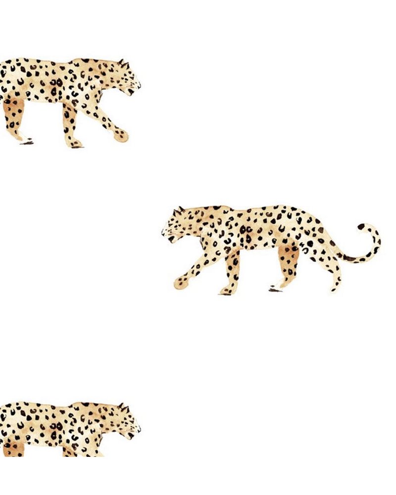 LEOPARD WALLPAPER - LEOPARD