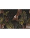 Zamia WDZA2101