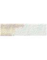 Brainstorm WET_BR1601