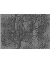 Woodpecker OUT_WP1901