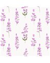 Helaine Fuchsia