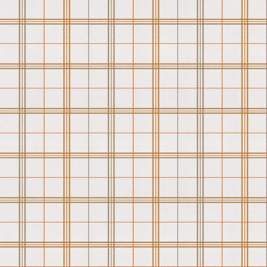 Check 7 Curry A00757