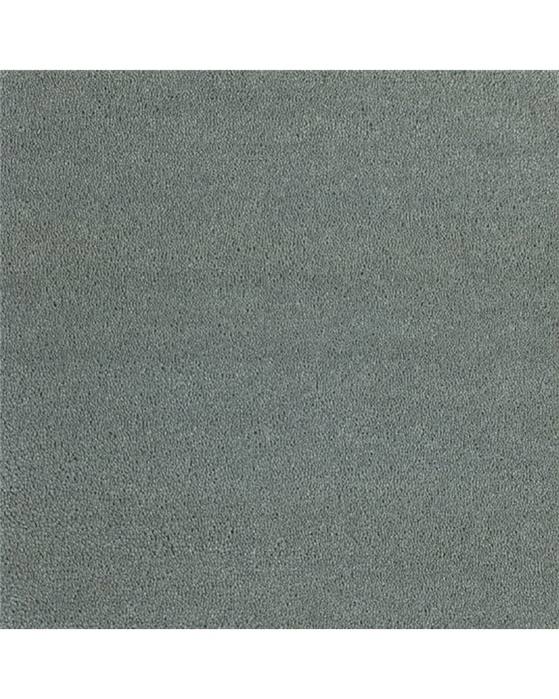 BELLE - 902