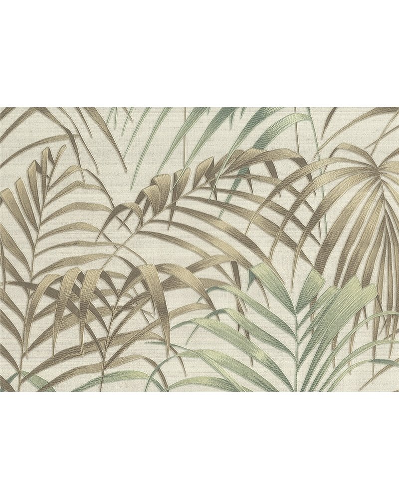 Fern 6813 Fern 6813