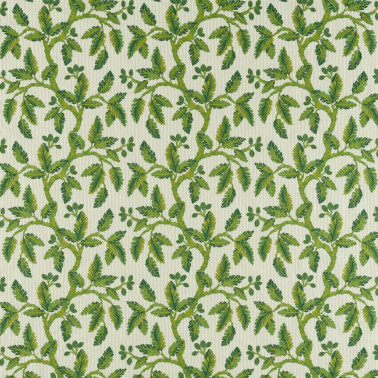 Oaknut Stripe Botanical Green DARF237321