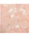 Paeonia Plain Blush 26912