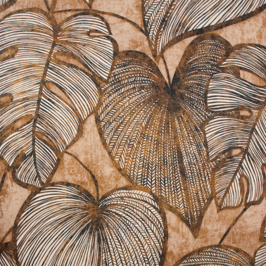 Monstera Bronze Peach 26936