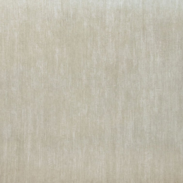 Tuvalu Pine Nut 26712