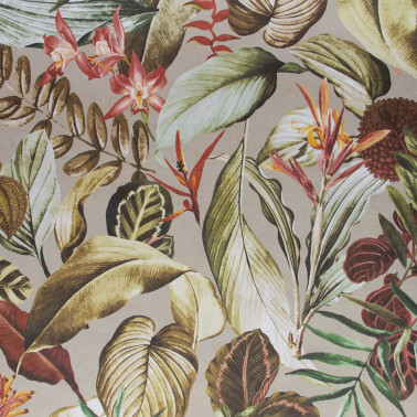 Kiribati Peanut 26738