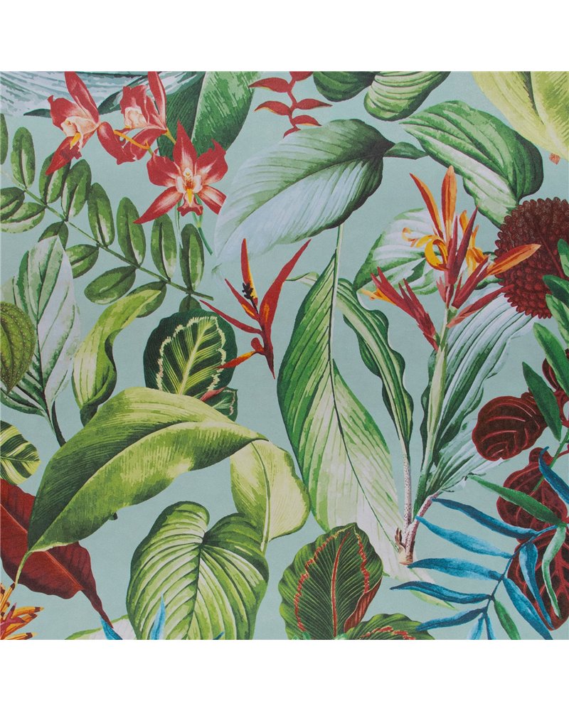Kiribati Blue Banana 26741 Kiribati Blue Banana 26741