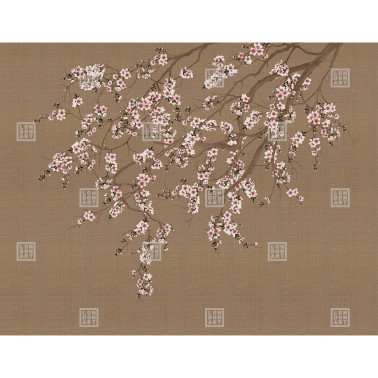 HAORI KMN05 B