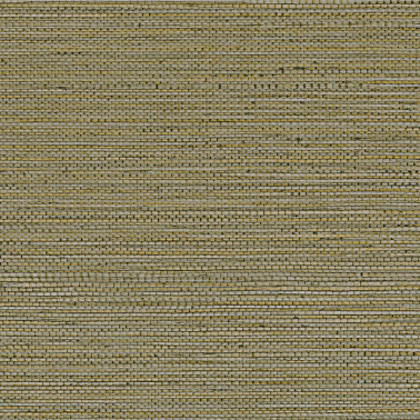 Zostera Kaki 75972242