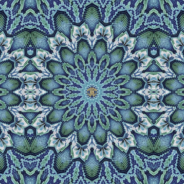 RC19207
