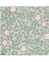 Rose Briar Salix 0263BRSALIX