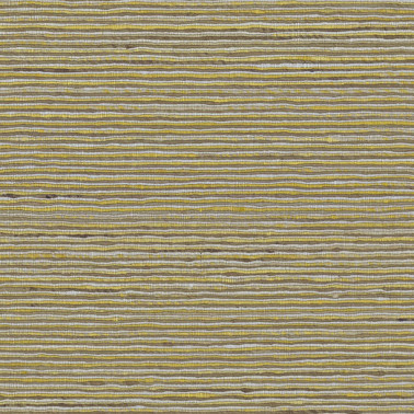 LS209