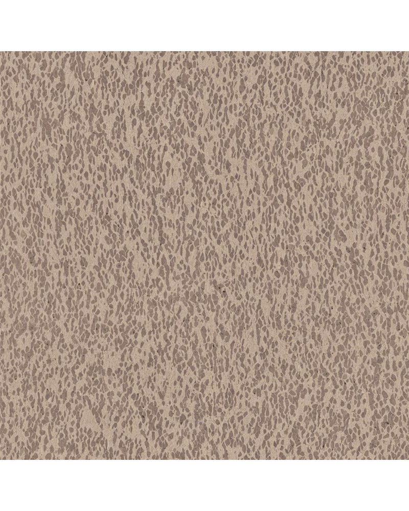 Casca CAS31 Casca CAS31
