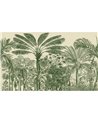 Valle di Viñales Palmier 97711