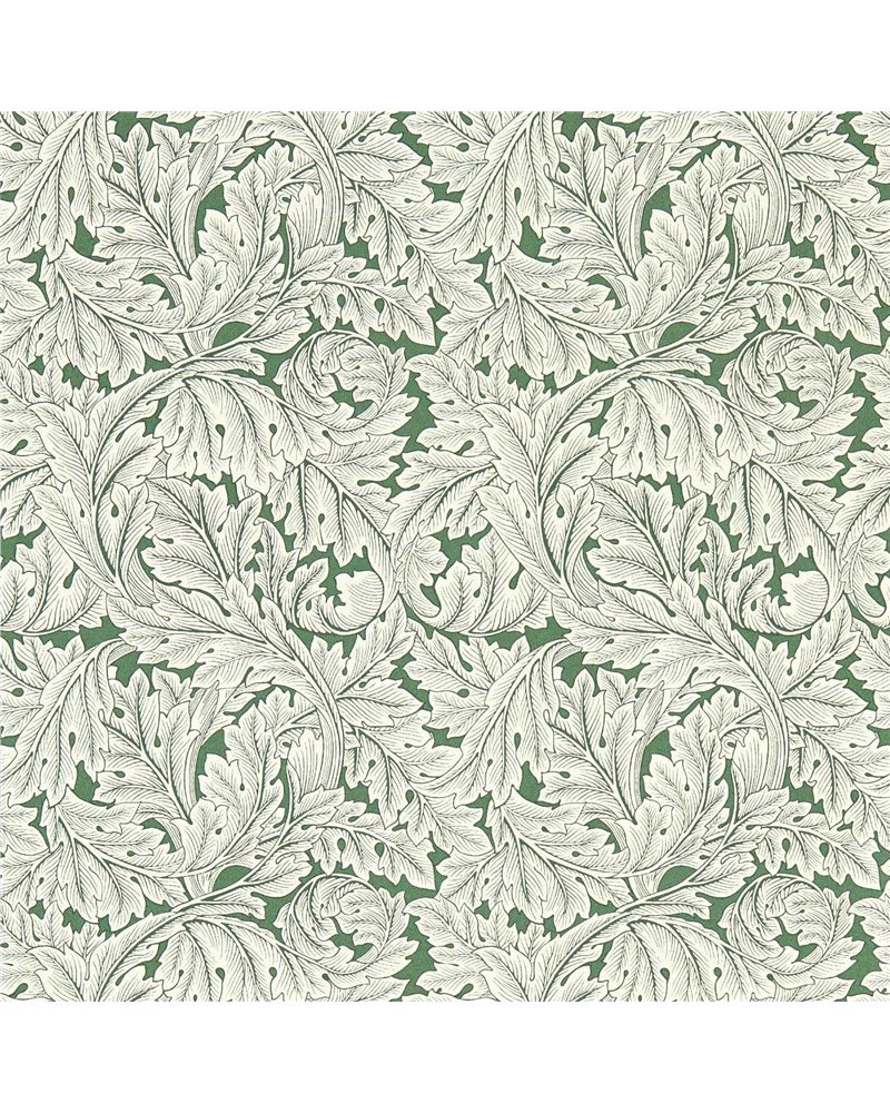 Acanthus Sage W0175-01 Acanthus Sage W0175-01