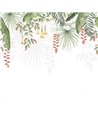 Ave do Paraíso Tropical L 89197009