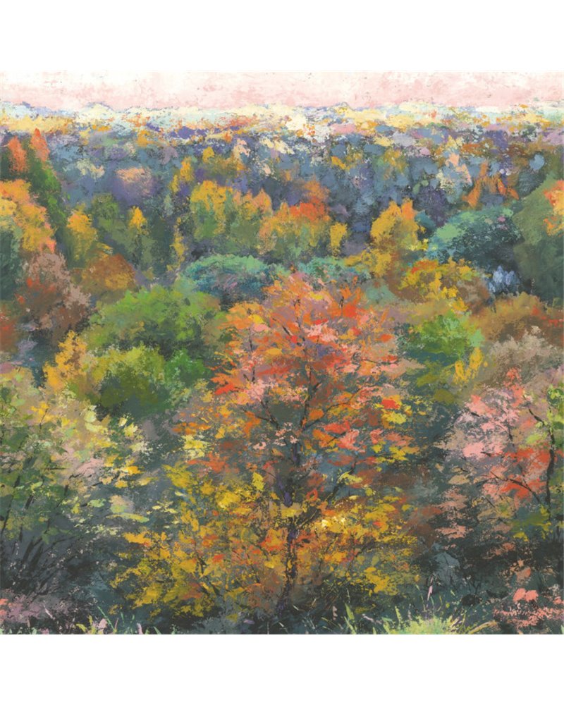 Indian Summer October M 88973703 Indian Summer October M 88973703