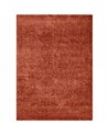 CARPET TENDER 71181-012
