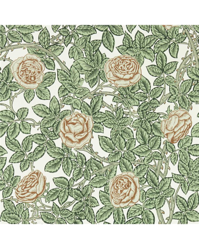 Rambling Rose Leafy Arbour Pearwood MEWW217208 Rambling Rose Leafy Arbour Pearwood MEWW217208