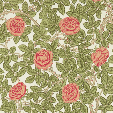 Rambling Rose Twining Vine MEWW217207