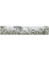 Botanical Beauty - Panorama