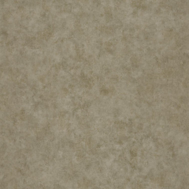 Beton Uni Vert Olive Nacre 101497420