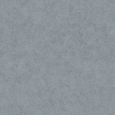 Beton Uni Carbone Clair 101489578