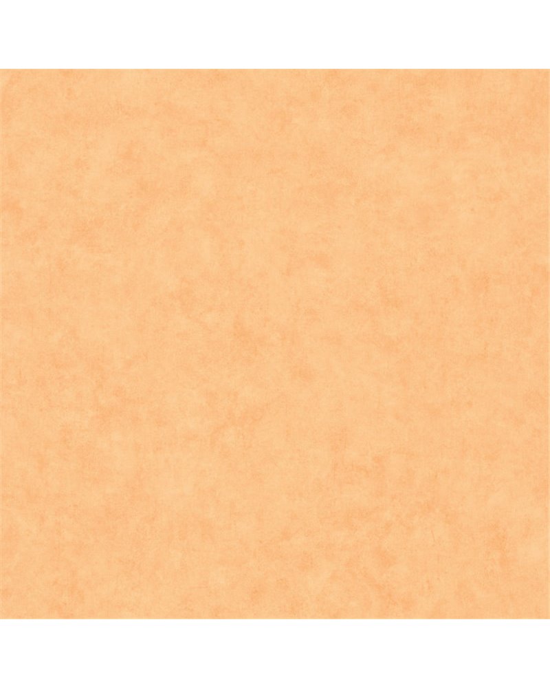 Beton Uni Savane 101483250 Beton Uni Savane 101483250