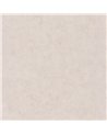 Beton Uni Taupe Gris Clair 101481693